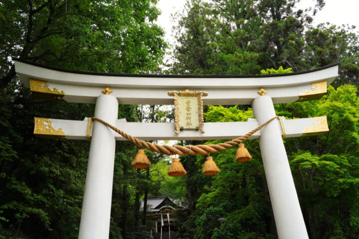 人生が変わる神社！関東であなたの運命が変わる神社一覧 