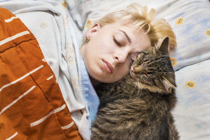猫が寝る位置で意味が異なる？寝る場所別のスピリチュアルな意味は？
